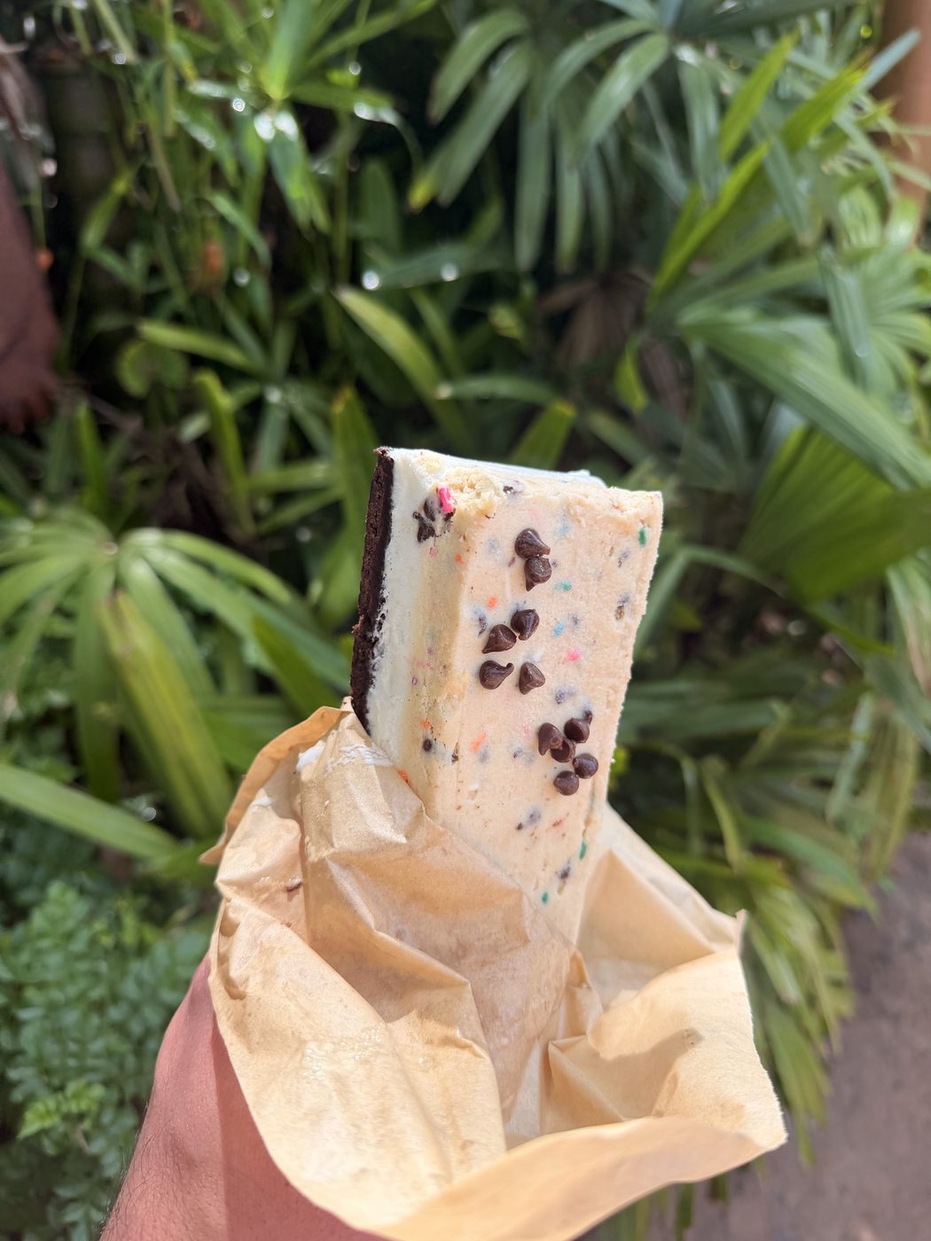 A cookies-and-cream ice cream sandwich
