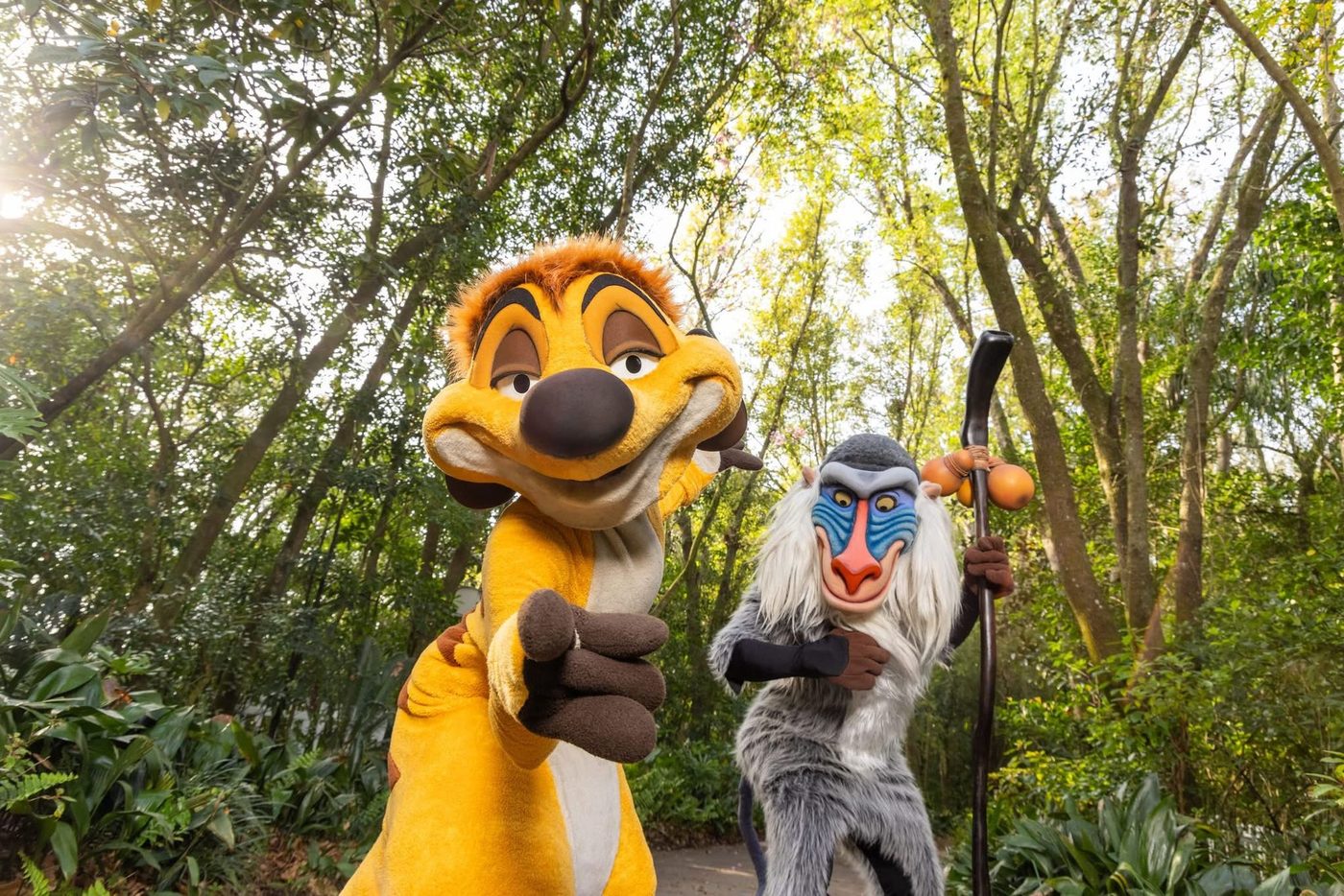Timon and Rafiki on the trail