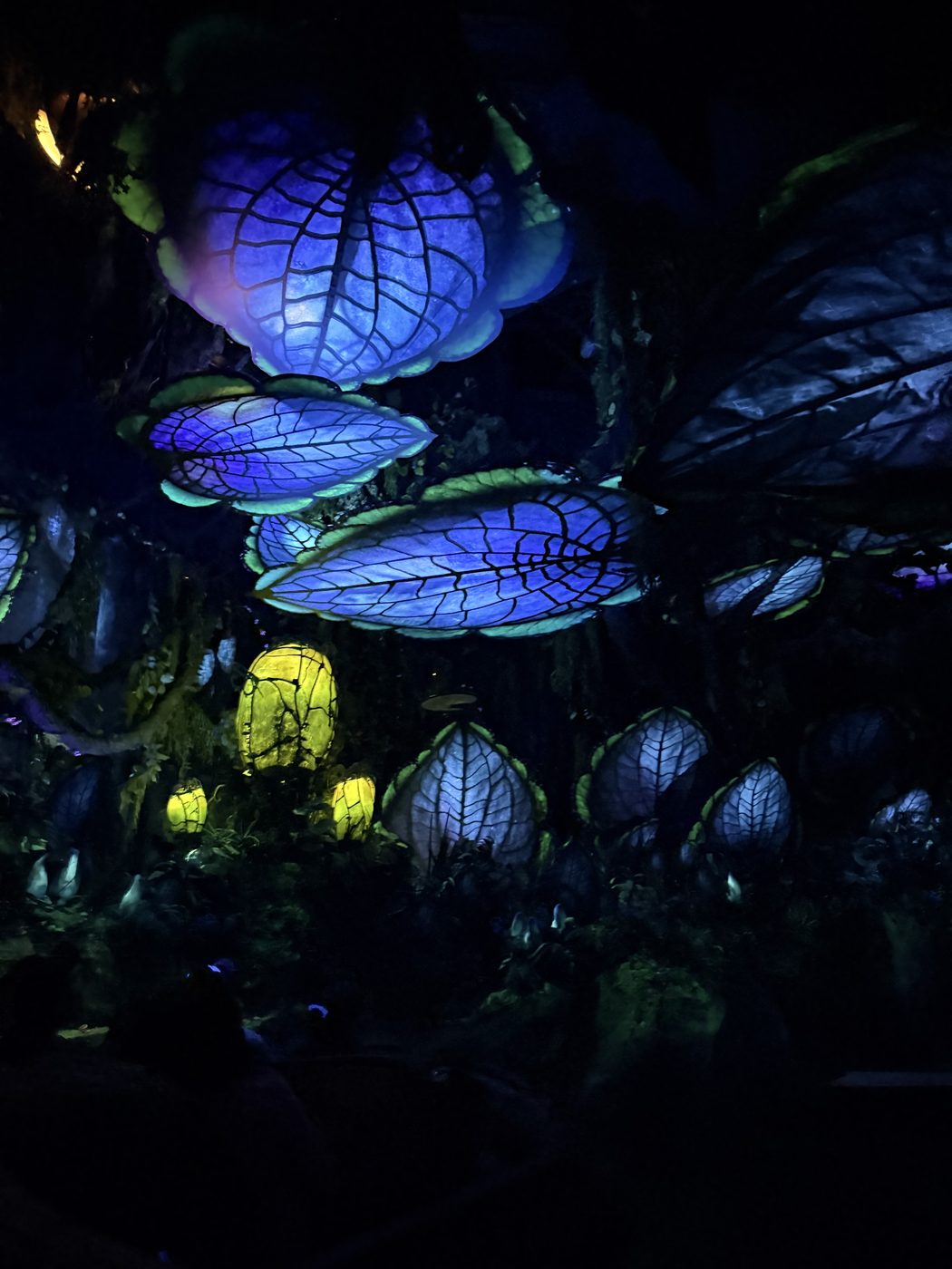 Bioluminescent blooms in Pandora