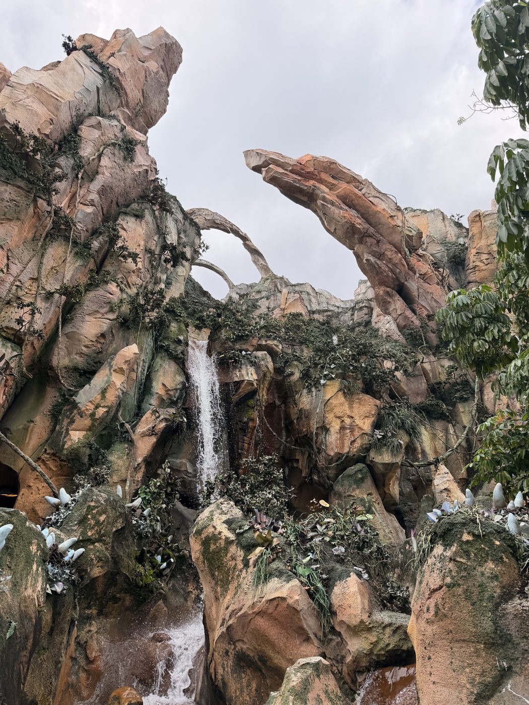 A waterfall in Pandora