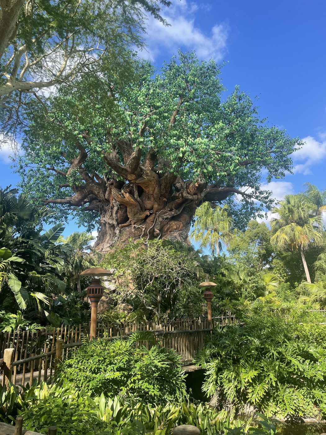 The Tree of Life against the sky