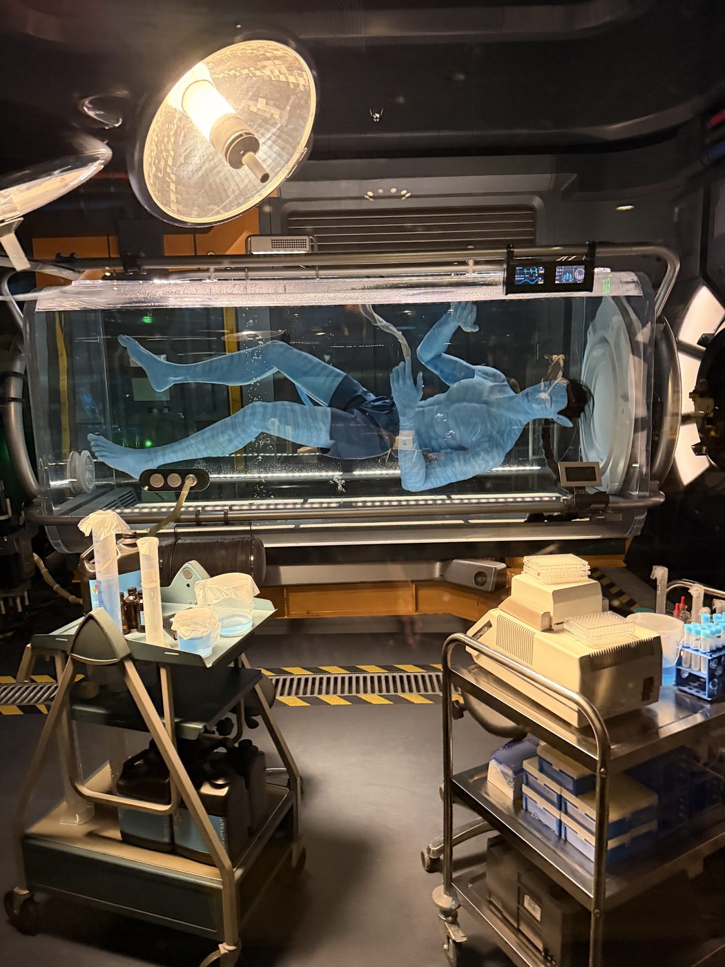The link chamber on Avatar Flight of Passage