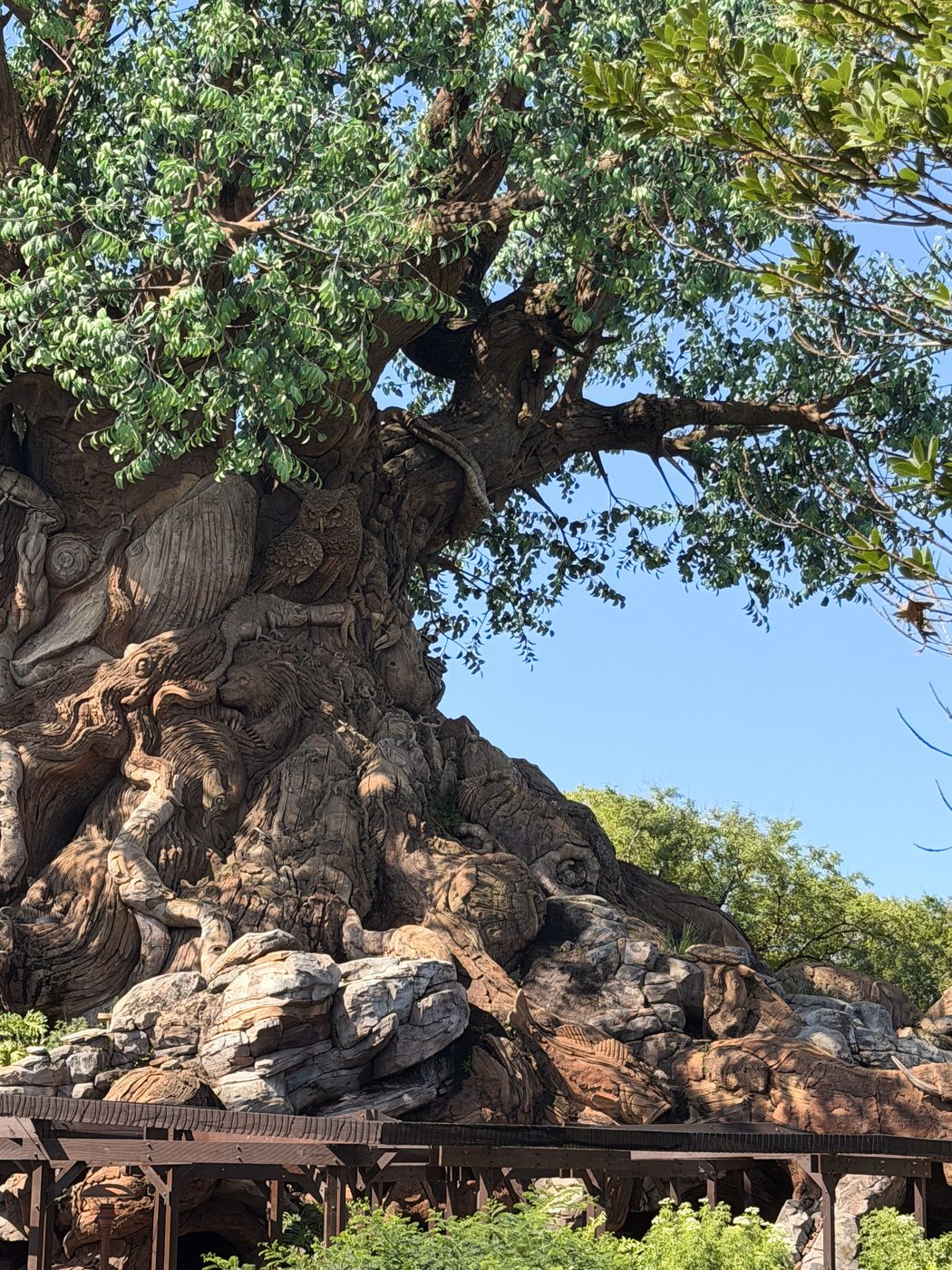 Animals carved into the Tree of Life