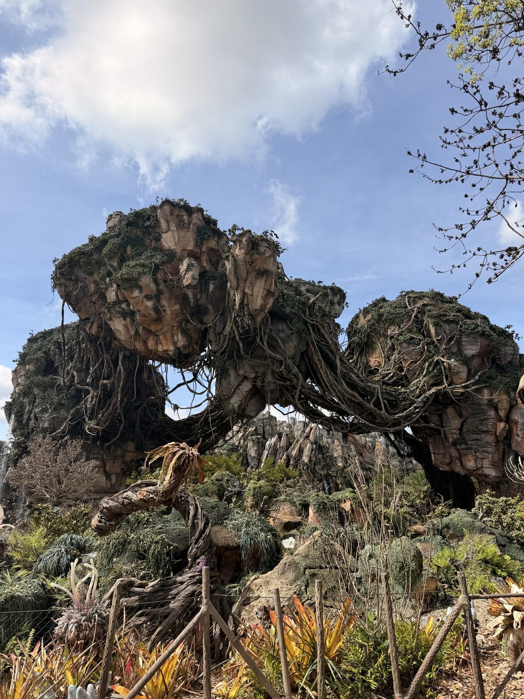 The floating mountains of Pandora