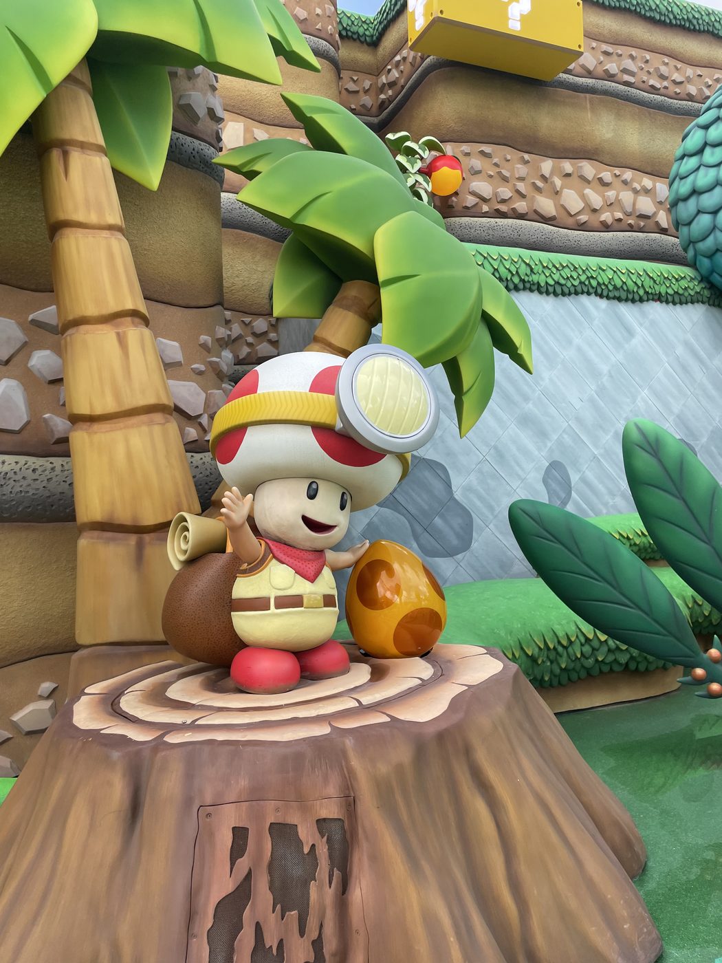 A Toad greets you in the Mushroom Kingdom