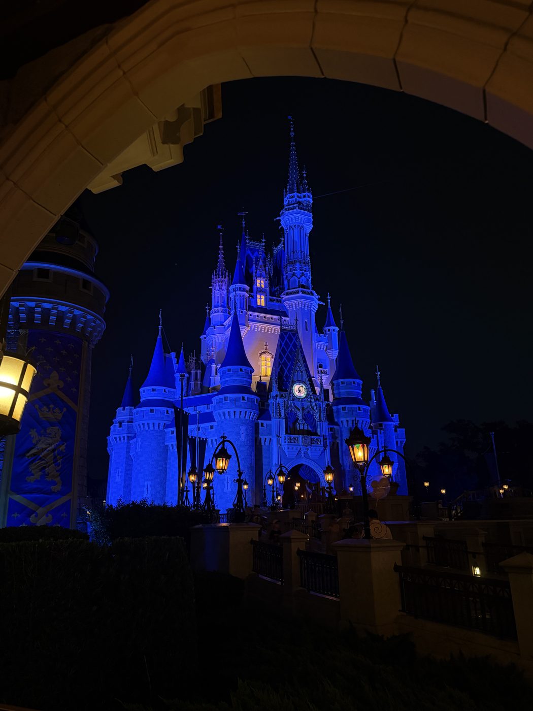 Cinderella Castle after dark