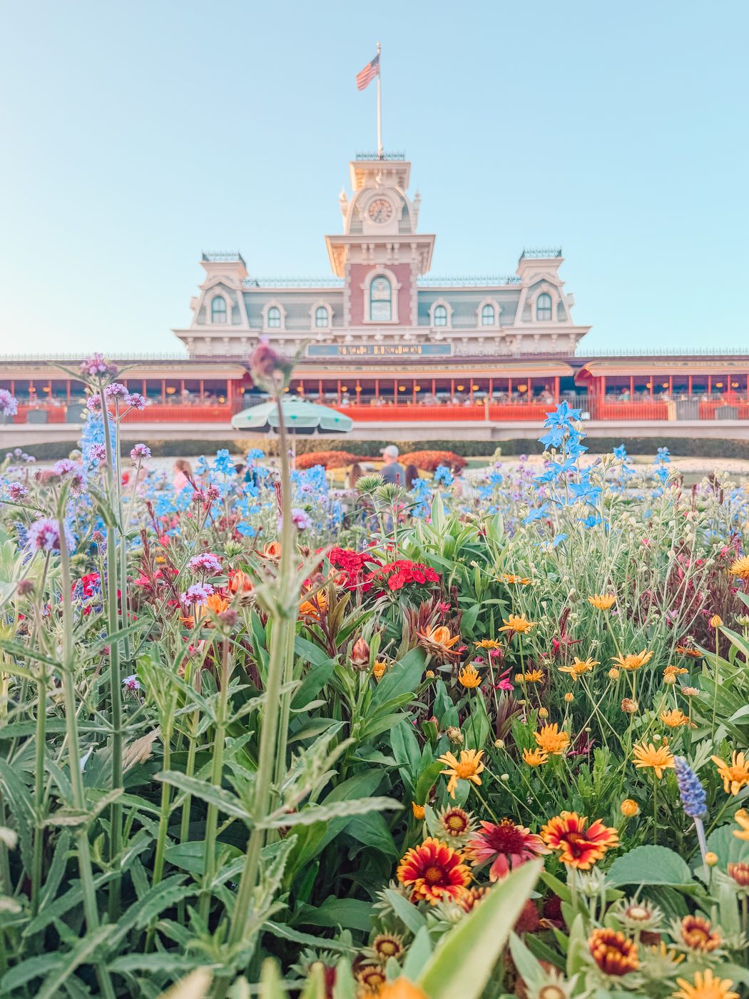 Main Street Station & the summer blooms