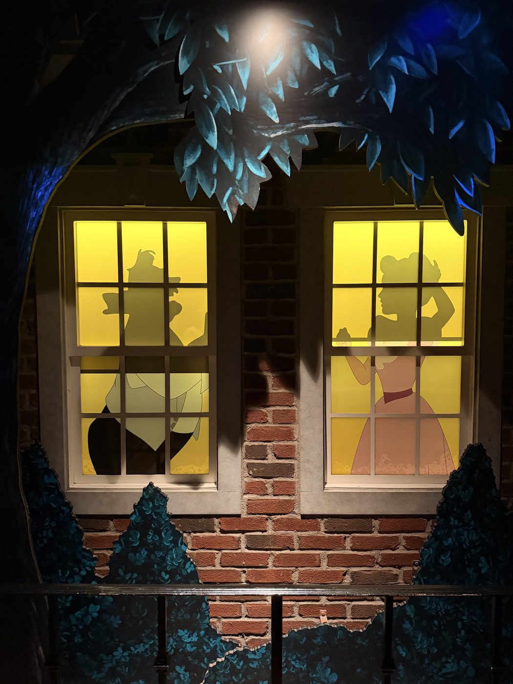 Shadows in the nursery window
