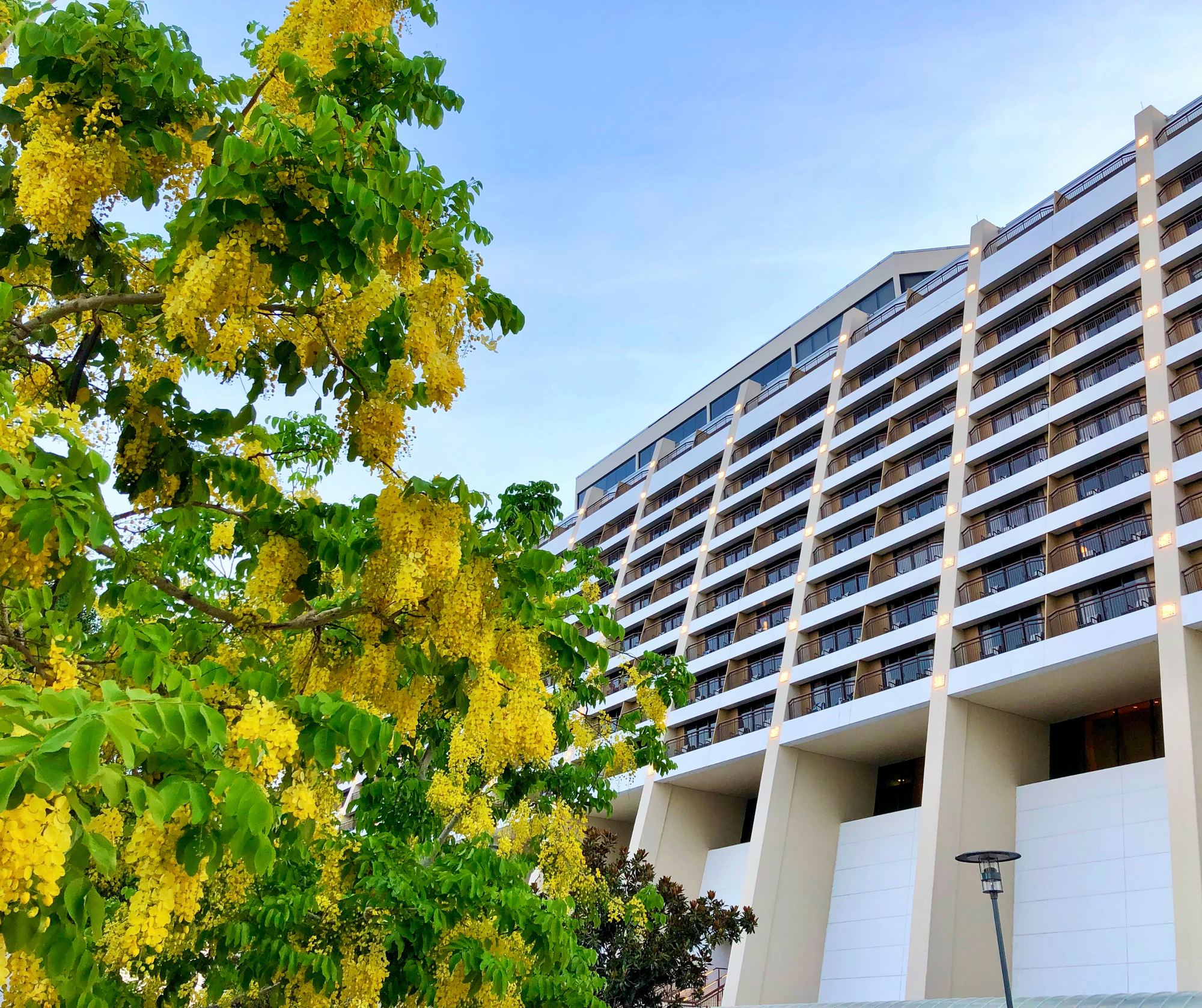 The Contemporary's iconic A-frame tower