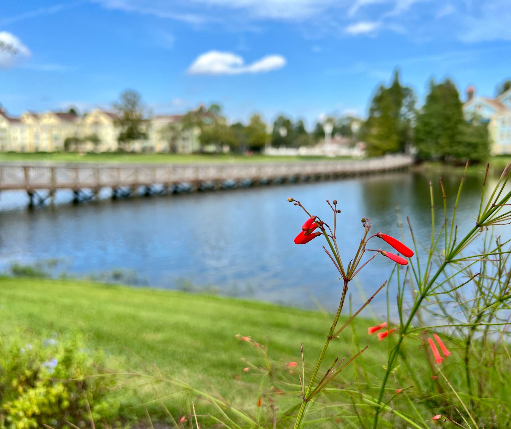 Saratoga Springs across the water