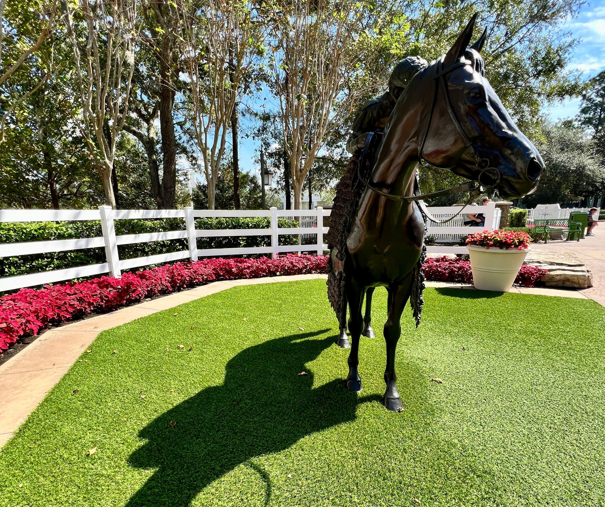 The paddock horse at Saratoga Springs