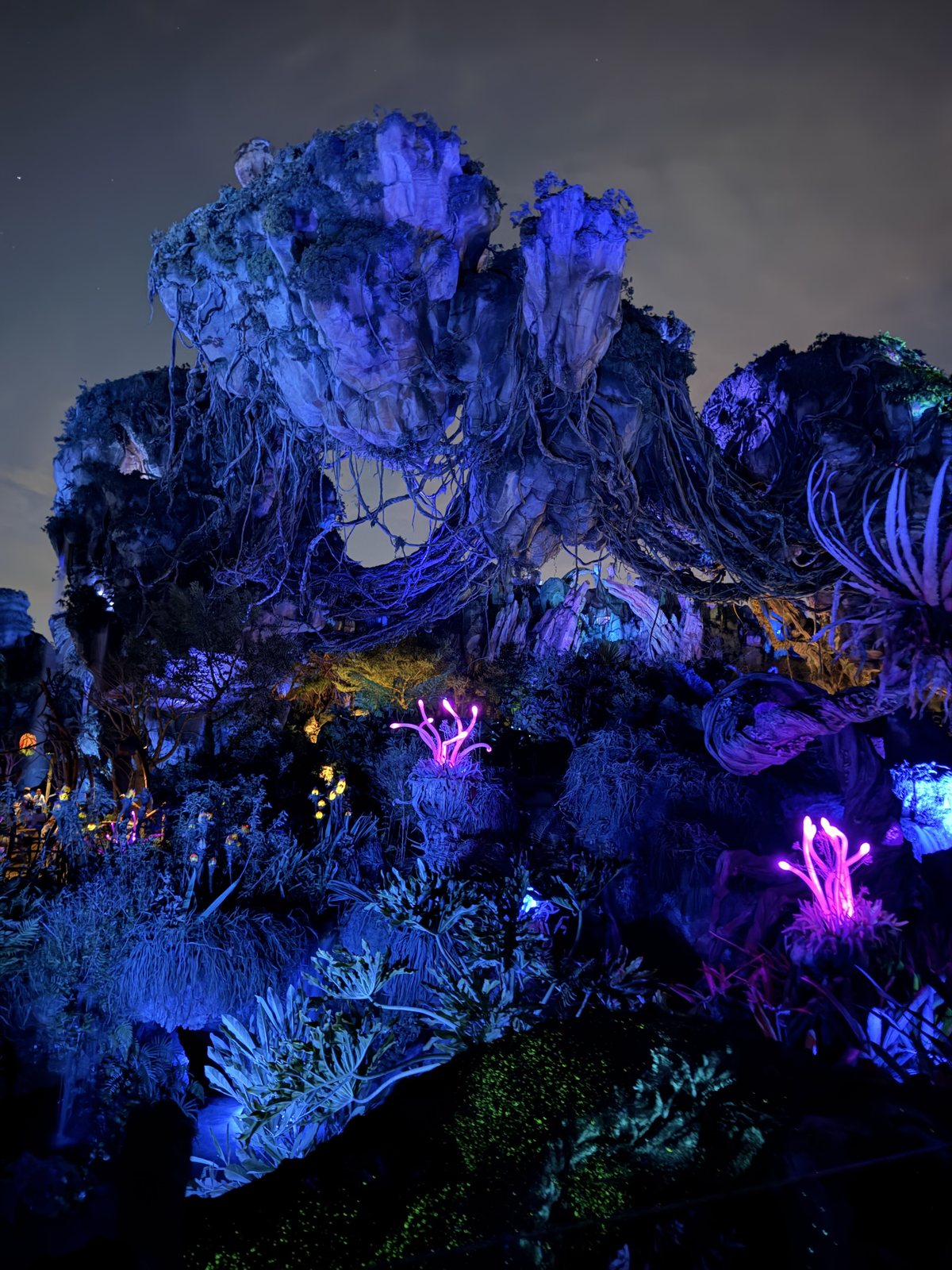 Pandora glows after dark