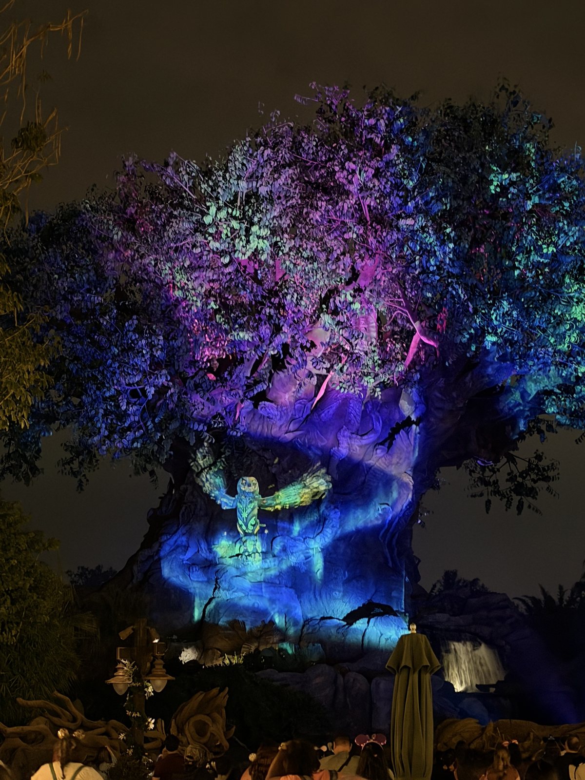 The Tree of Life Awakenings