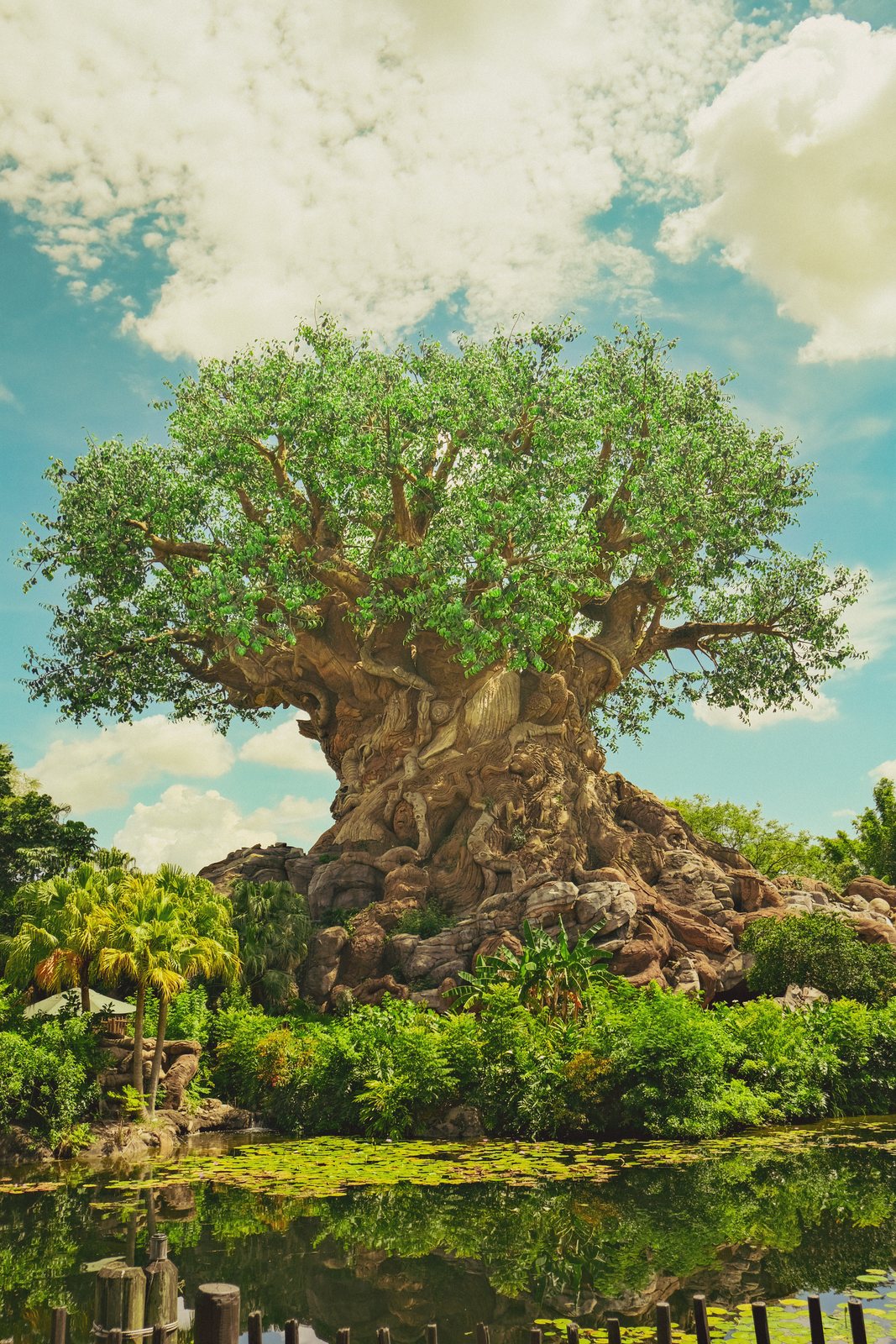 The Tree of Life over the water